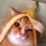 Telegram profile photo for Вилка: Архив