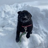 Telegram profile photo for Ручения от lesli