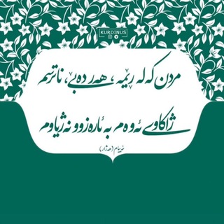 Telegram profile photo for شلێر ڕەشیدی