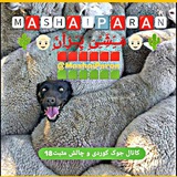Telegram profile photo for 🌵👴🏻مَِــَِشَِـَِیَِ پَِـَِـرَِاَِنَِ👴🏻🌵