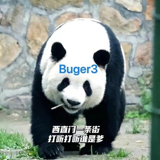 Telegram profile photo for 🍔资源频道(Sharing Foreigners' Resources)