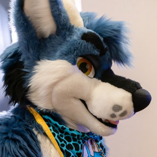 Telegram profile photo for dirdstuff