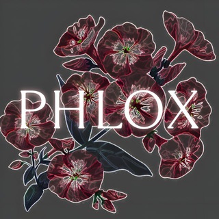 Telegram profile photo for PHLOX_cdt