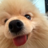 Telegram profile photo for -