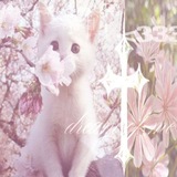 Telegram profile photo for прайс ви