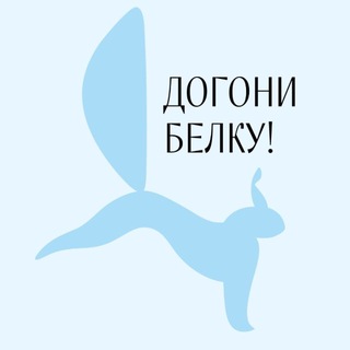 Telegram profile photo for Догони белку!
