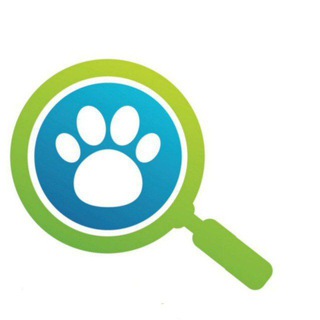 Telegram profile photo for ЗверЮга - поиск животных Краснодар потеряшки