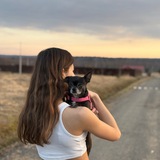 Telegram profile photo for Чихуа Чилли
