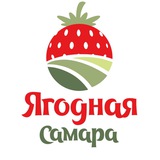 Telegram profile photo for Ягодная Самара
