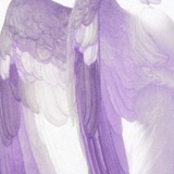 Telegram profile photo for 𑣿𓂃 ꕀ. tea─stained thoughts from a gentle bloom in honeyed hush & serenity. 𝜗𝜚 ִֶָ