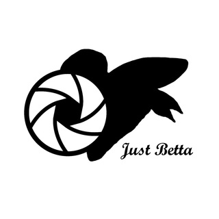 Telegram profile photo for Just Betta Showroom