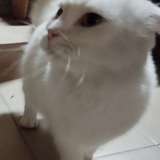 Telegram profile photo for КЕНГАМИК ЖИВЁТ ТУТ