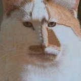 Telegram profile photo for Очевидні речі
