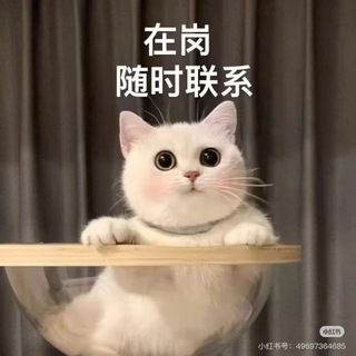 Telegram group profile photo for 广州天河心悦瑶浴spa会所社群
