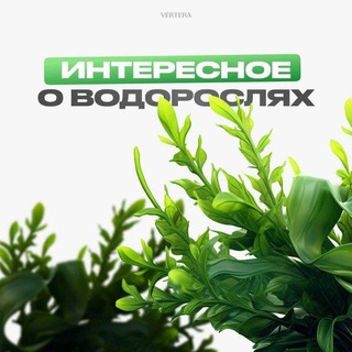Telegram profile photo for Здорово жить, здоровыми.