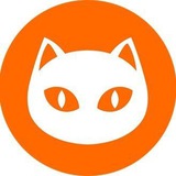 Telegram profile photo for Ninneko