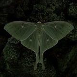 Telegram profile photo for 𝐫𝐞𝐩𝐨𝐫𝐭 𝐮𝐩𝐝𝐚𝐭𝐞𝐬