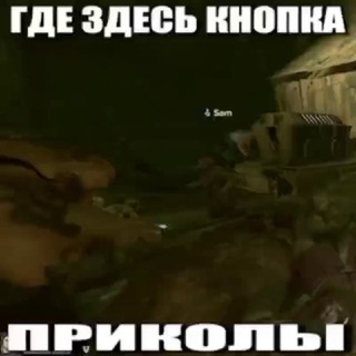 Telegram profile photo for где здесь кнопка приколы