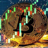 Telegram profile photo for $CRYPOTLOGI