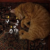 Telegram profile photo for ذِكْرَىٰ