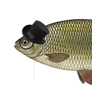Telegram profile photo for краснопёрка