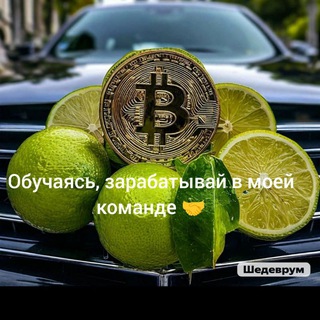 Telegram profile photo for MajesticLime_Vladikavkaz