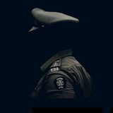 Telegram profile photo for vision khaki