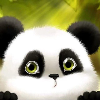 Telegram profile photo for Crypto panda