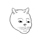 Telegram profile photo for wojcat_portal