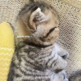 Telegram profile photo for penyu 💕👶🏻♥️🦦
