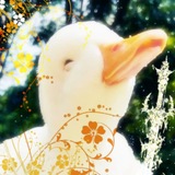 Telegram profile photo for (03)Утя утя УТЯ ТЯТЯТ