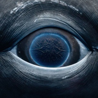 Telegram profile photo for ≴|Υ.Α.Κ.|≵