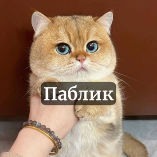 Telegram profile photo for ЭТО МОЙ ПАБЛИК