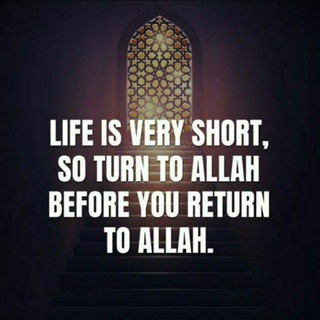 Telegram profile photo for ISLAM (The Only Way Of Life )