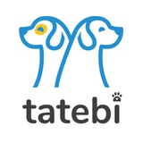 Telegram profile photo for tatebi 🐶