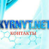 Telegram profile photo for KYRNYT_NET ИНФО