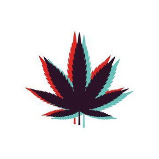 Telegram profile photo for plantz 🍃