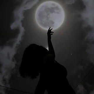 Telegram profile photo for Moon