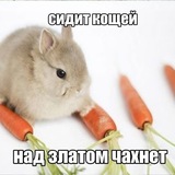 Telegram profile photo for санни парадайс .