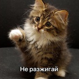 Telegram profile photo for Анеки