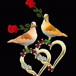 Telegram profile photo for Online income meghna