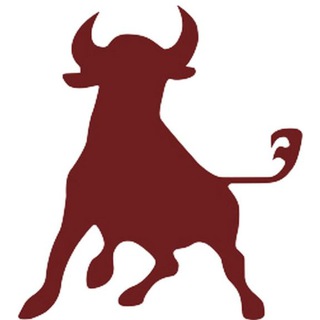 Telegram profile photo for Toro News