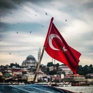 Telegram profile photo for Ortadoğu Haber / Suriye / Irak / Filistin /İsrail / Türkiye / TSK / Operasyon / PKK leş