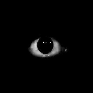 Telegram profile photo for 𝖠𝗋𝗌𝖺𝗅𝖺𝗇 `