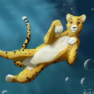 Telegram profile photo for Cats Yiaffs