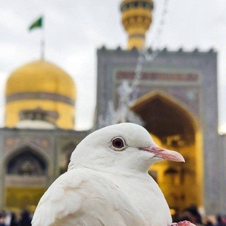 Telegram profile photo for یاضامن آهو 🕊
