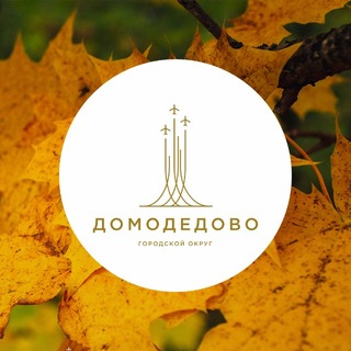 Telegram profile photo for Администрация г. о. Домодедово