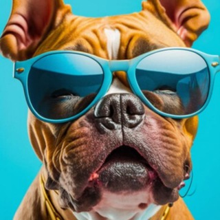 Telegram group profile photo for Взаимные🐾Подписки 24/7