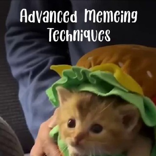 Telegram profile photo for Advanced Memeing Techniques ✙