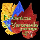 Telegram profile photo for @botanicosdevenezuela